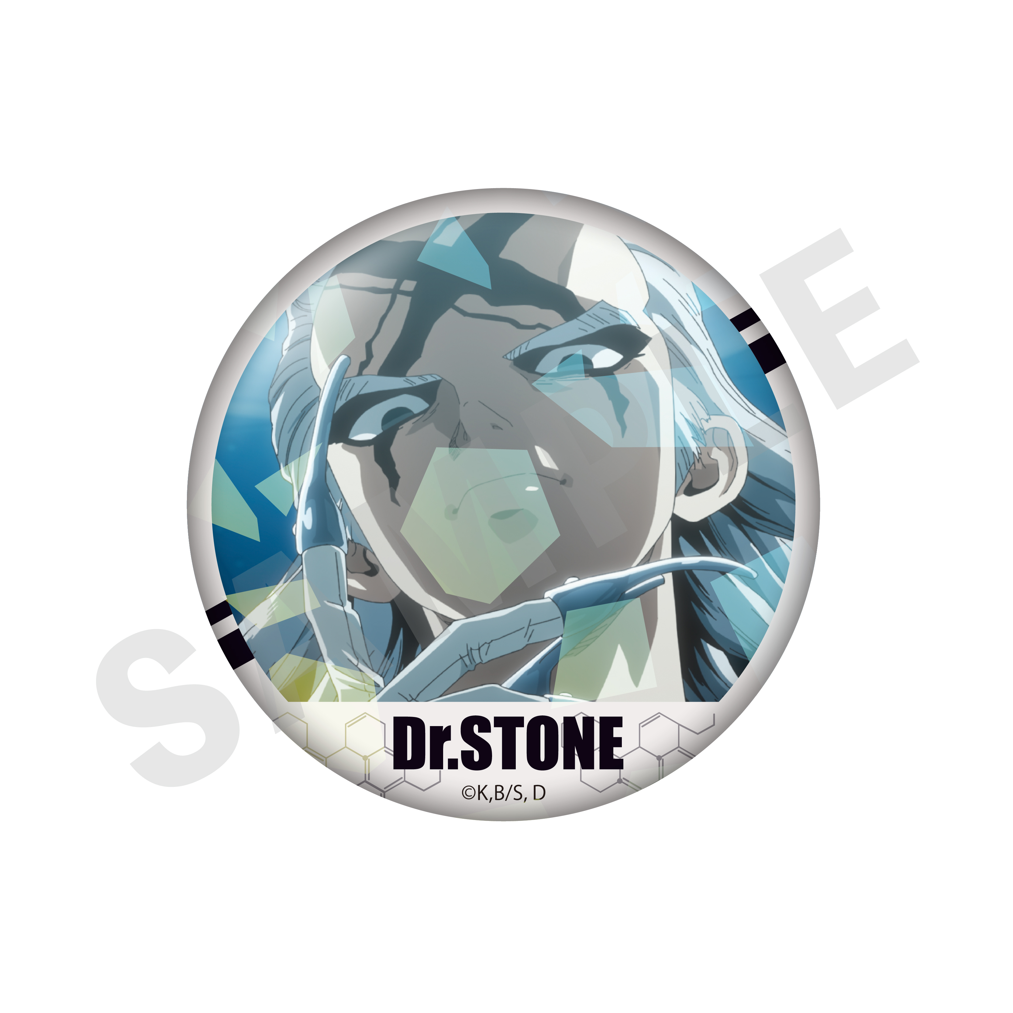 Dr.STONE_トレーディングキラキラ場面写缶バッジ （全10種