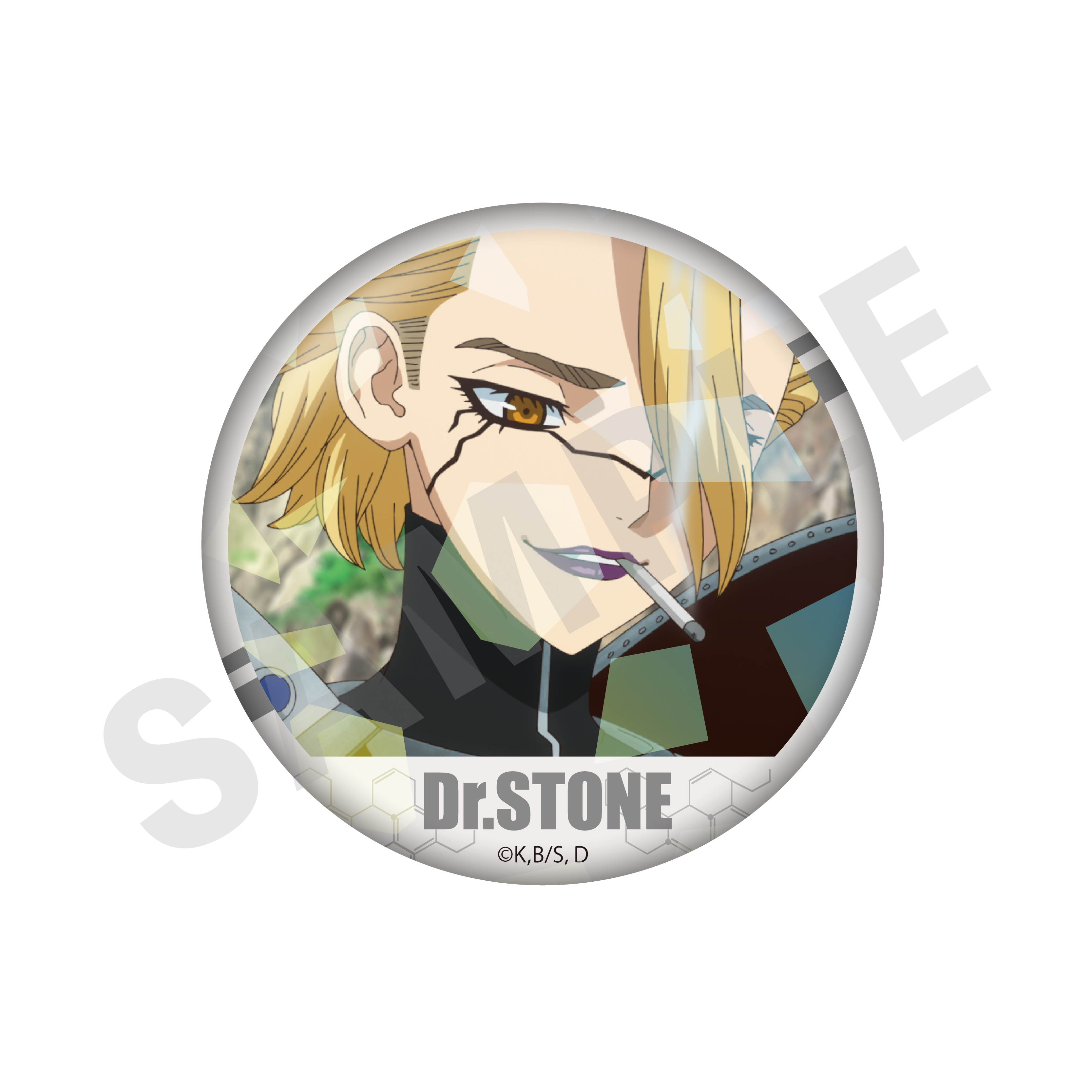 Dr.STONE_トレーディングキラキラ場面写缶バッジ （全10種