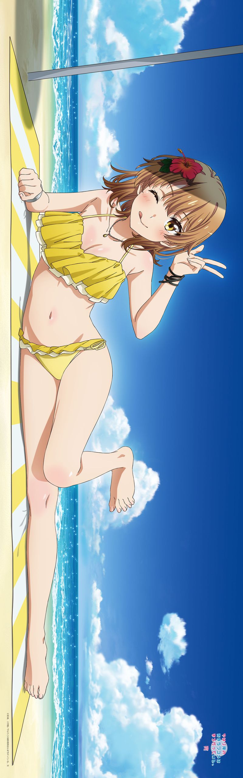 やはり俺の青春ラブコメはまちがっている いろは 抱き枕カバー エプロン やはり俺の青春ラブコメはまちがっている。完_【描き下ろし