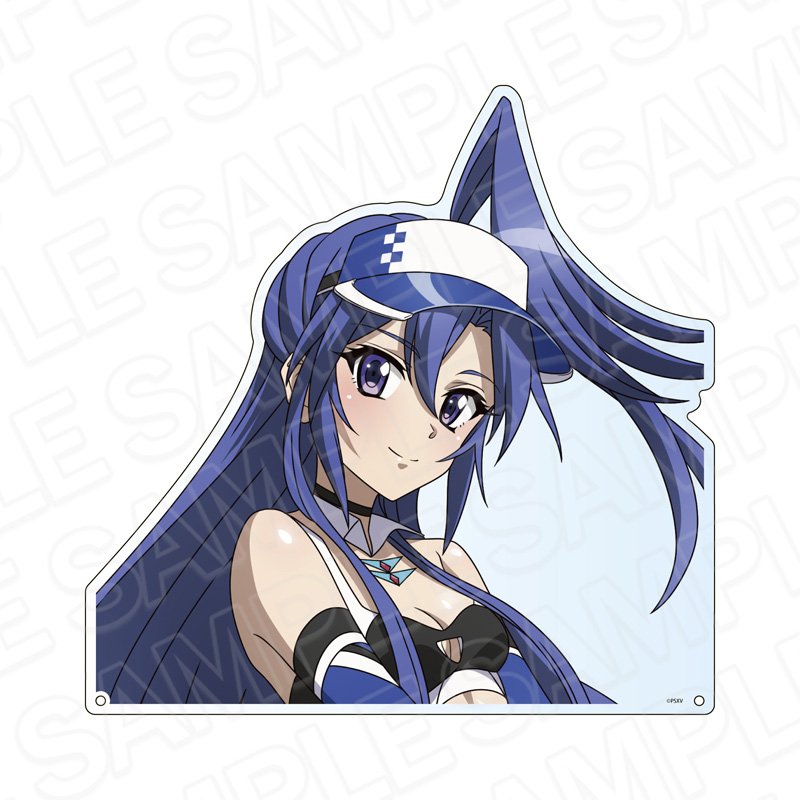 戦姫絶唱シンフォギアXV_特大ダイカットアクリルボード 風鳴 翼 SYMPHOGEAR RACING ver.