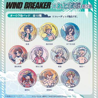 WIND BREAKER展 桜遥 グリッター缶バッジ WIND BREAKER』VASARAコラボ グリッター缶バッジ 桜遥 – TG MALL