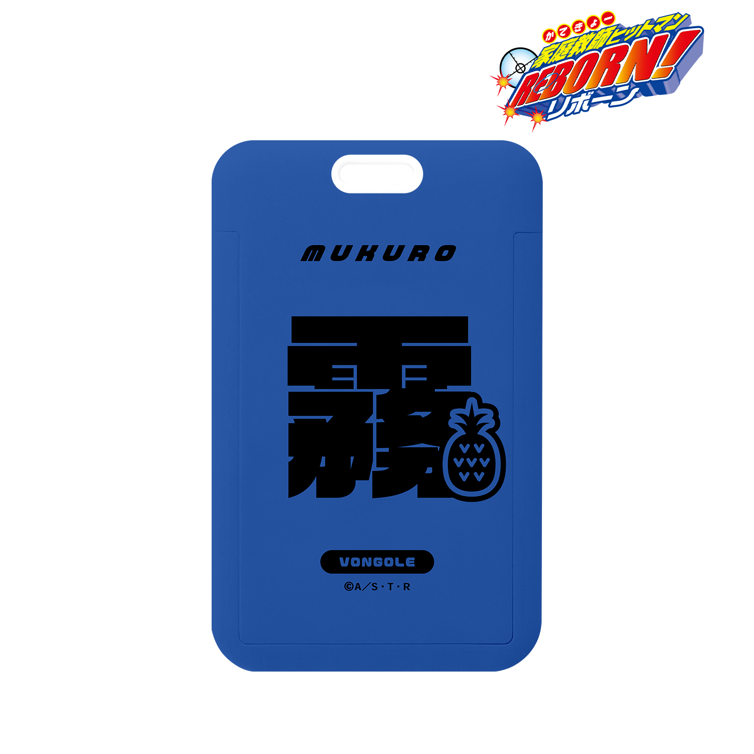 家庭教師ヒットマンREBORN!_六道 骸（10年後） ar-Unity モチーフネームデザイン フォトカードホルダー