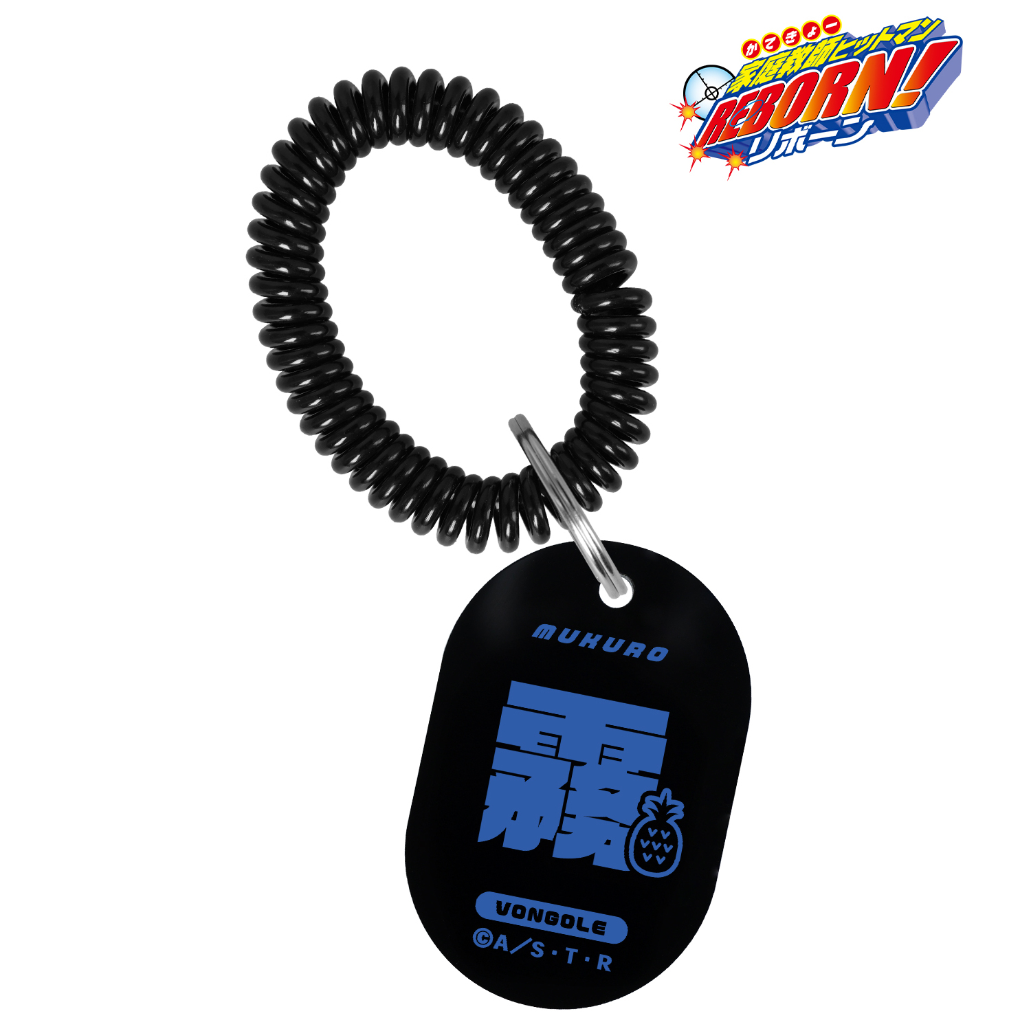 家庭教師ヒットマンREBORN!_六道 骸（10年後） ar-Unity モチーフネームデザイン ロッカーキー風アクリルキーホルダー