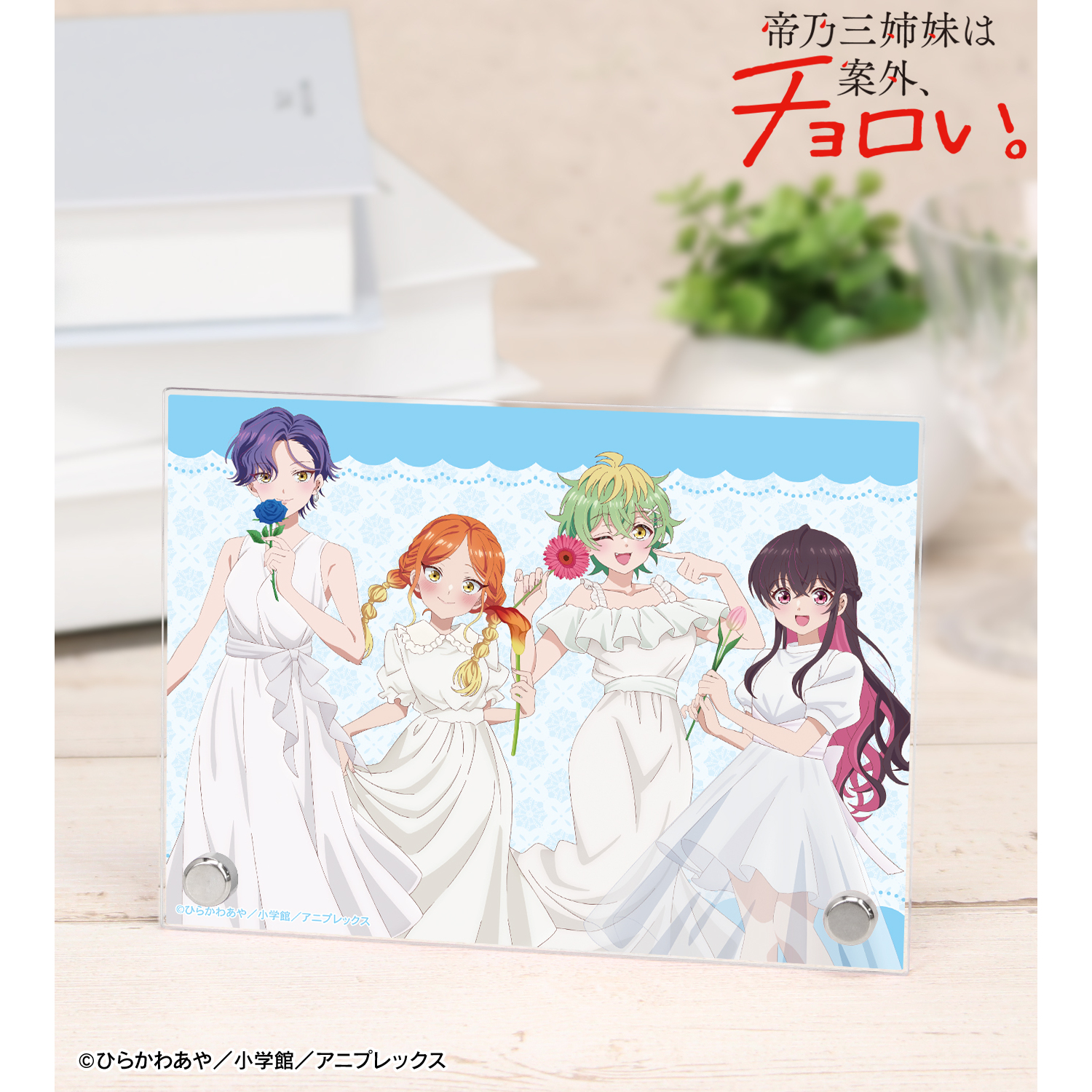帝乃三姉妹は案外、チョロい。_描き下ろし 集合 白いワンピースと花ver. A6アクリルパネル