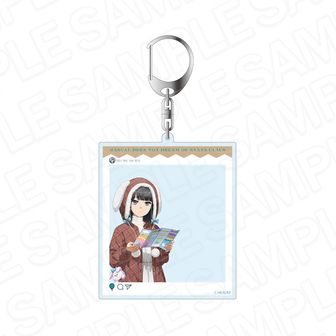 青ブタまとめ売り Yahoo!オークション -「青ブタ フィギュア」(コミック、アニメ