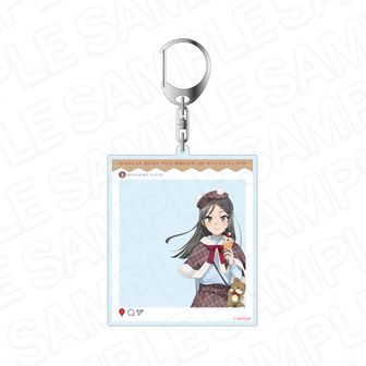 青ブタまとめ売り 青春ブタ野郎」シリーズ（青ブタ） | 公式グッズ・公式