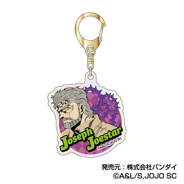 ジョジョの奇妙な冒険 スターダストクルセイダース_オーロラアクリル