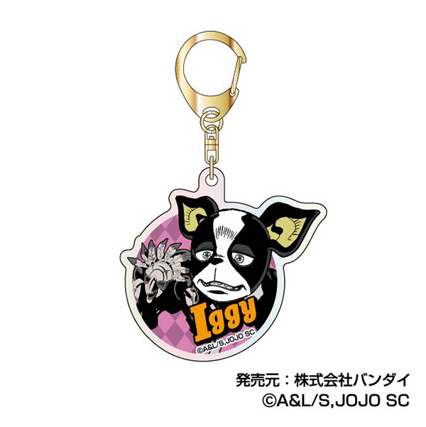 ジョジョの奇妙な冒険 スターダストクルセイダース_オーロラアクリル