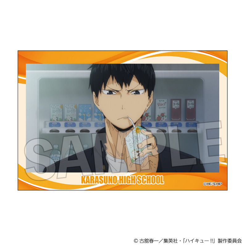 ハイキュー!!_積み積みブロック vol.9　2