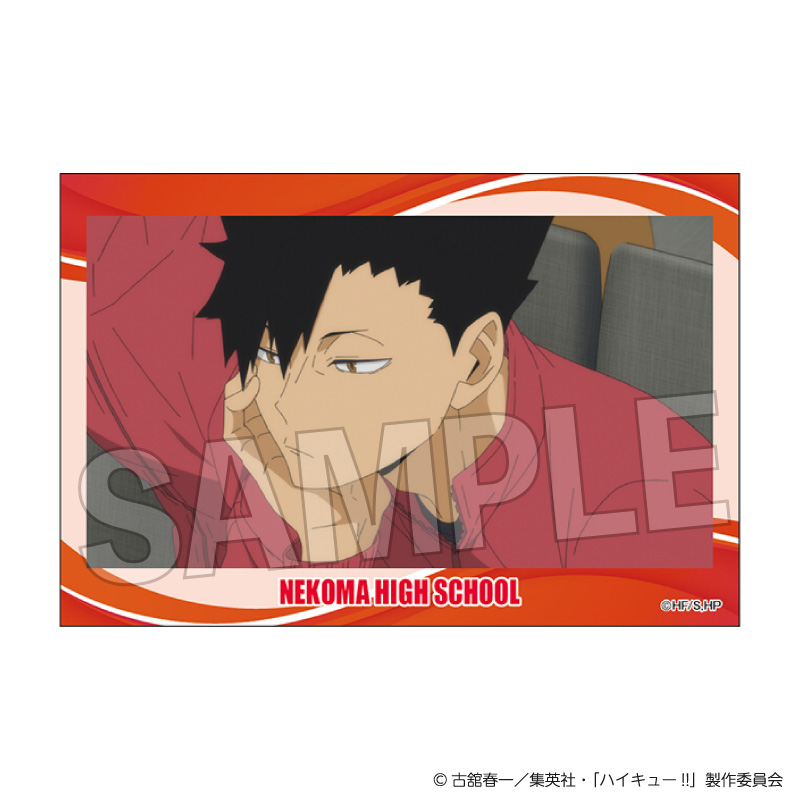 ハイキュー!!_積み積みブロック vol.9　27