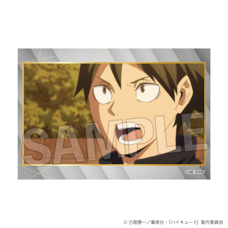 ハイキュー!!_スタパネ ミニ vol.9　24