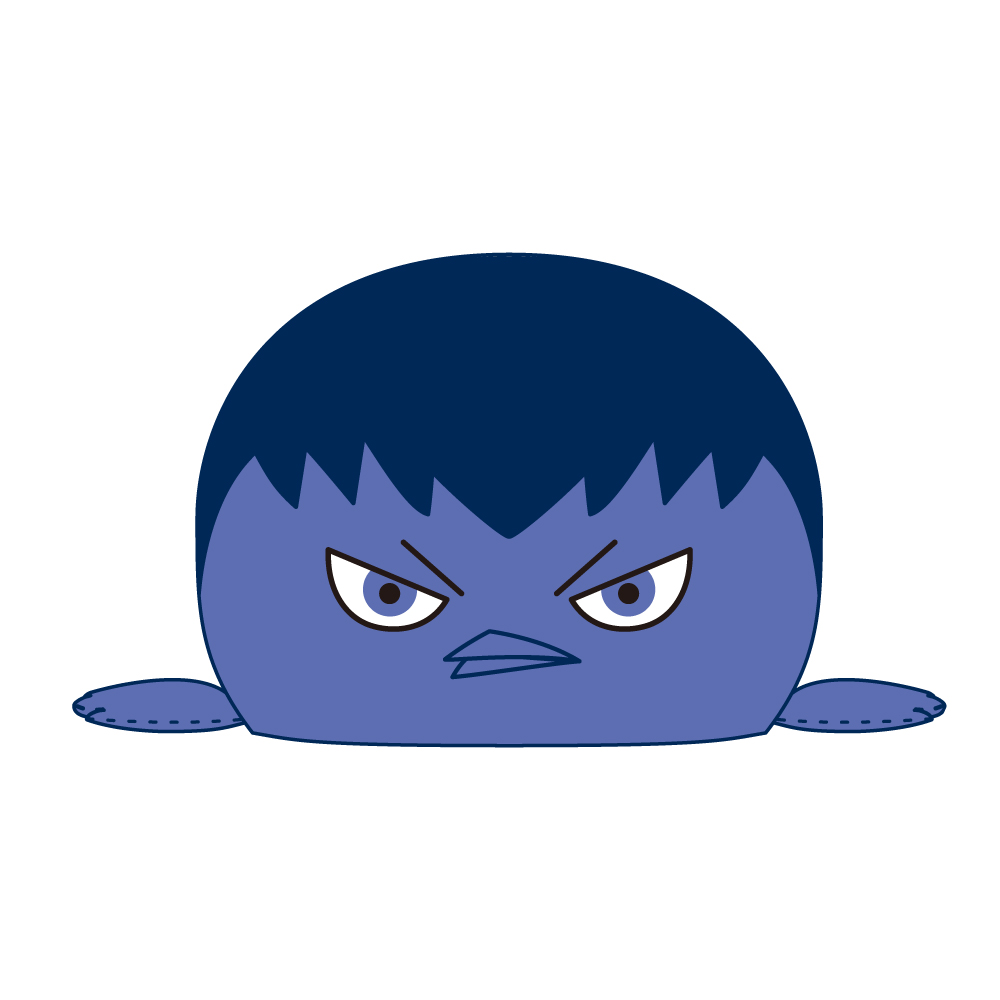 ハイキュー!!_ビッグクッション カゲガラス