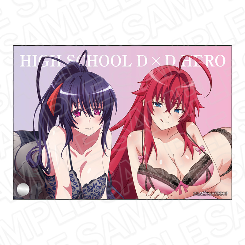 ハイスクールD×D HERO_ミニアクリルアート ナイトウェア ver.