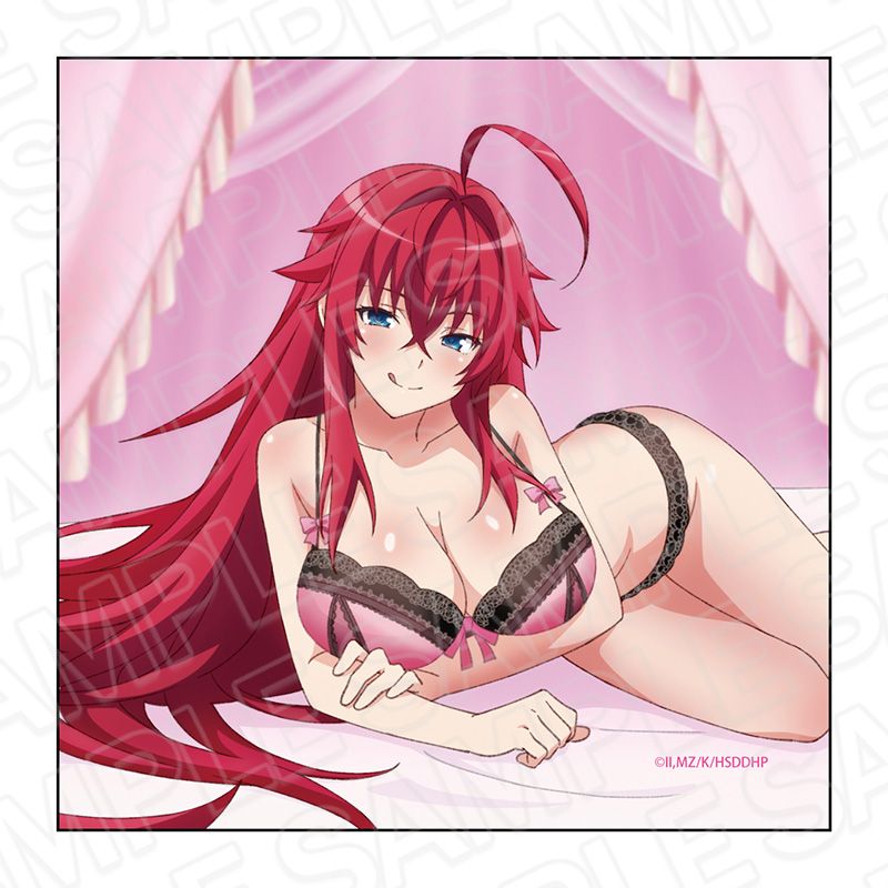 ハイスクールD×D HERO_マイクロファイバー リアス・グレモリー ナイトウェア ver.