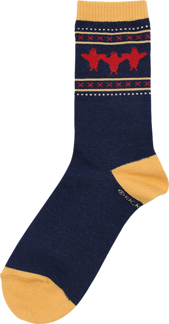 ダンジョン飯_マルシルの使い魔靴下