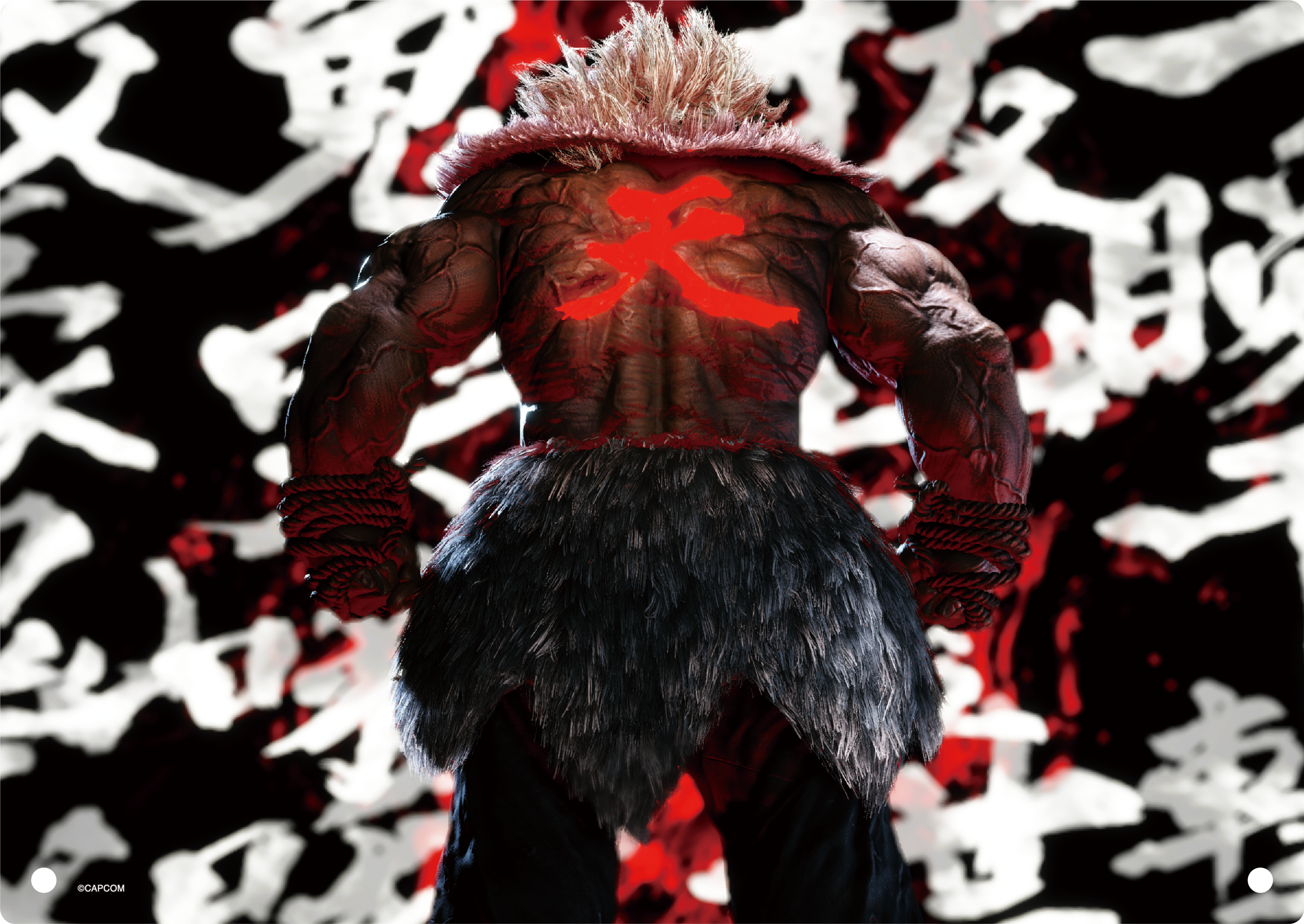 ストリートファイター6_アクリルアートパネル／豪鬼