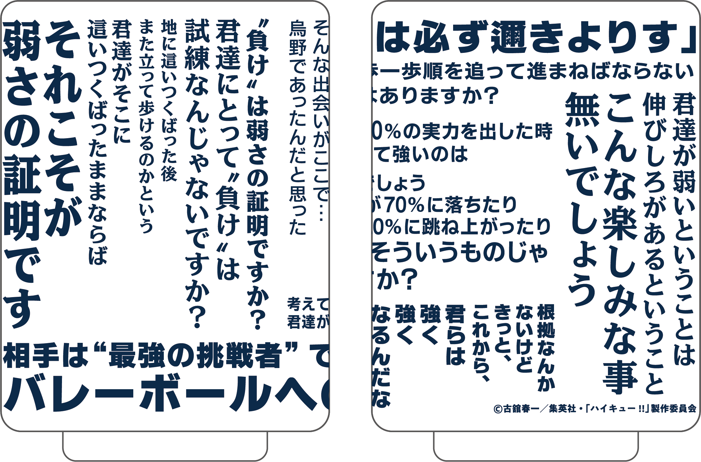 ハイキュー!!_湯呑み／武田一鉄