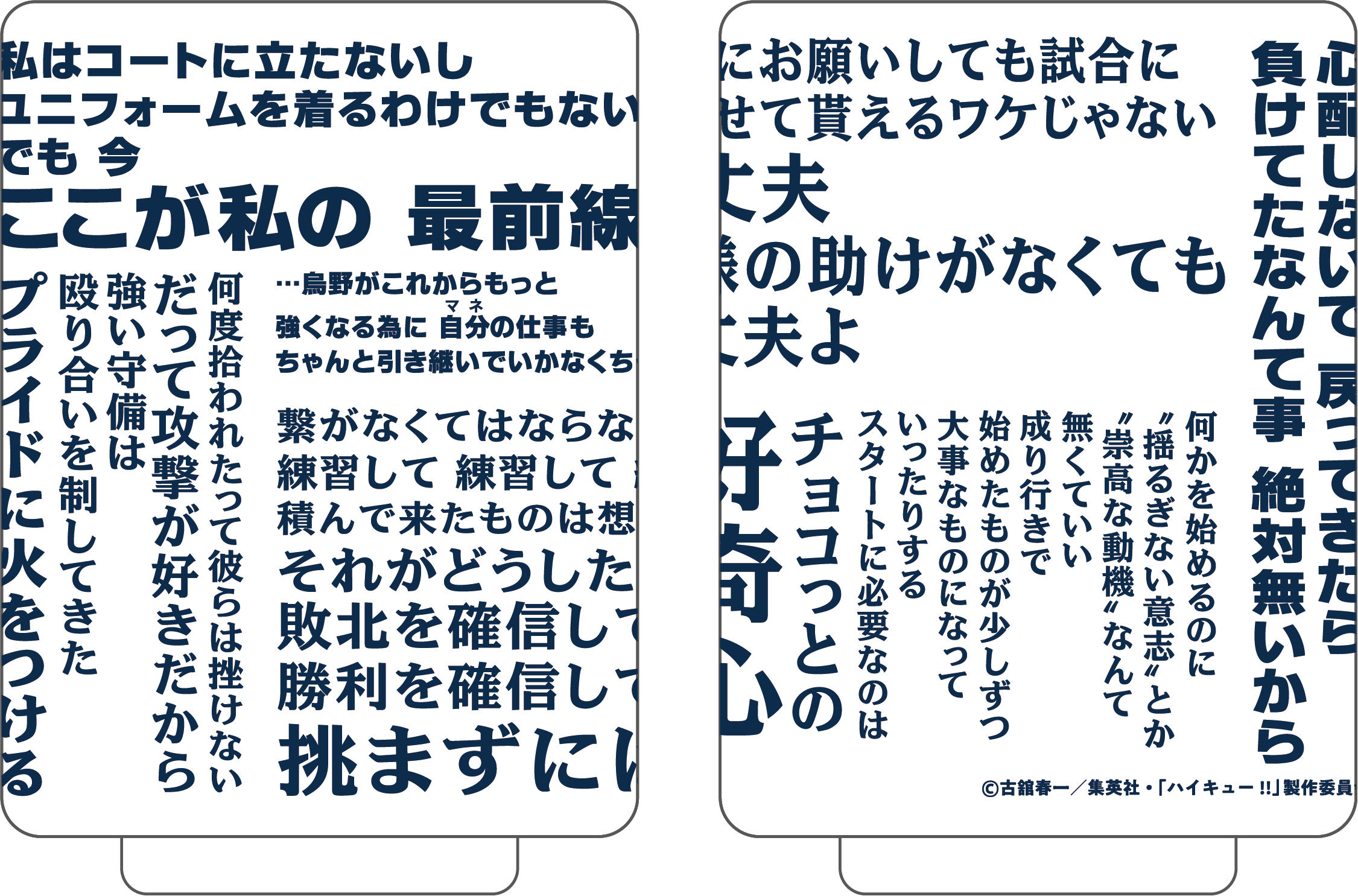 ハイキュー!!_湯呑み／清水潔子