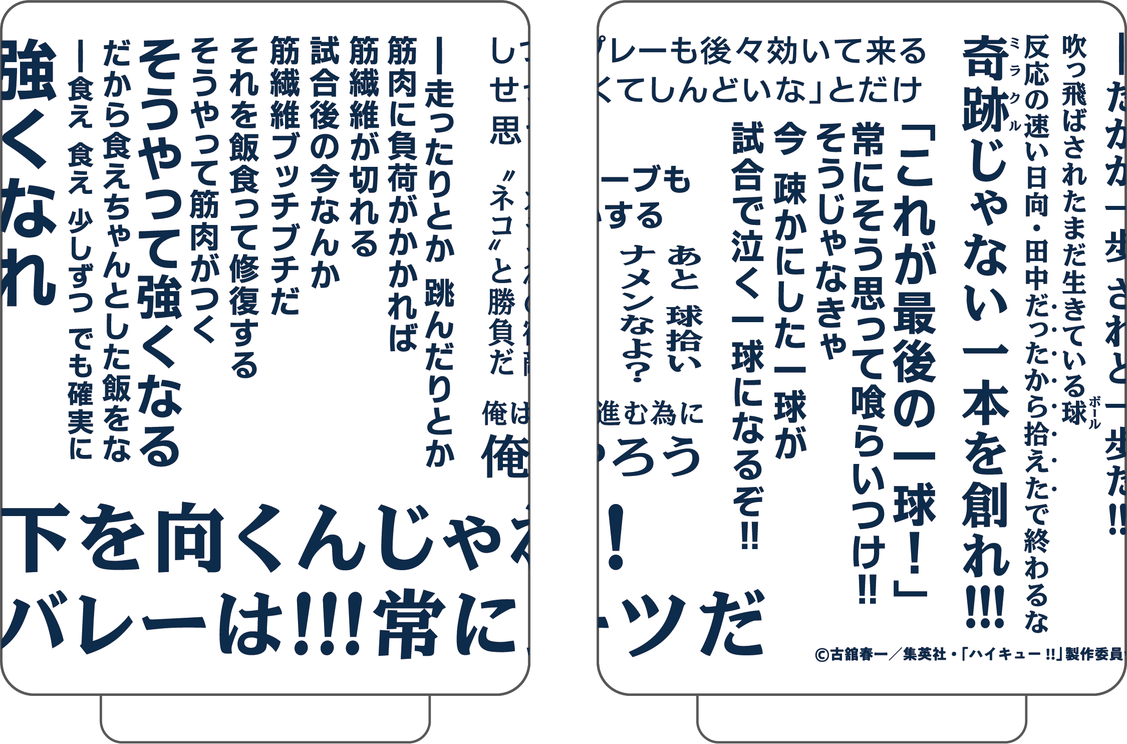 ハイキュー!!_湯呑み／烏養繋心