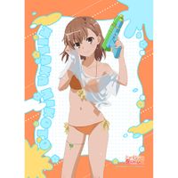 とある科学の超電磁砲T_描き下ろしB2タペストリー(御坂美琴/水遊び)W