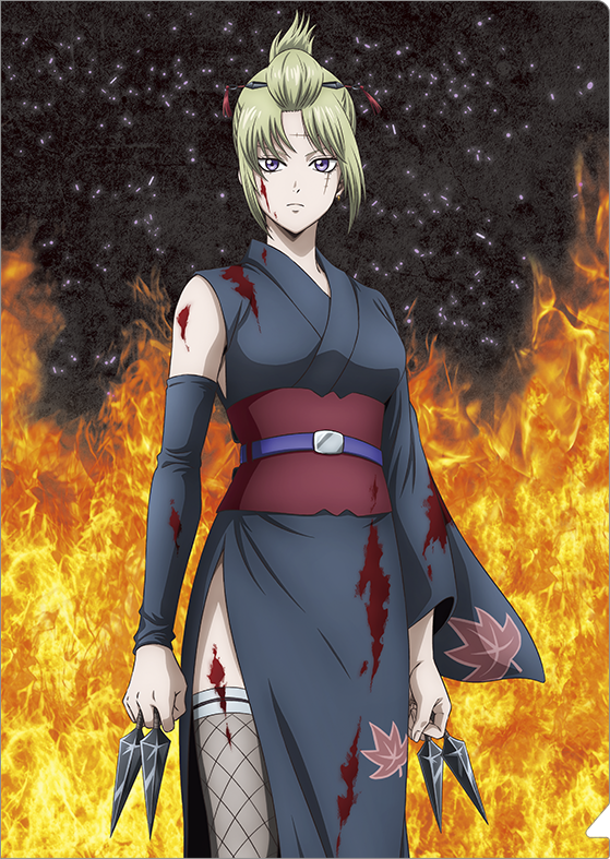 新劇場版 銀魂 -吉原大炎上-_クリアファイル／吉原大炎上　月詠