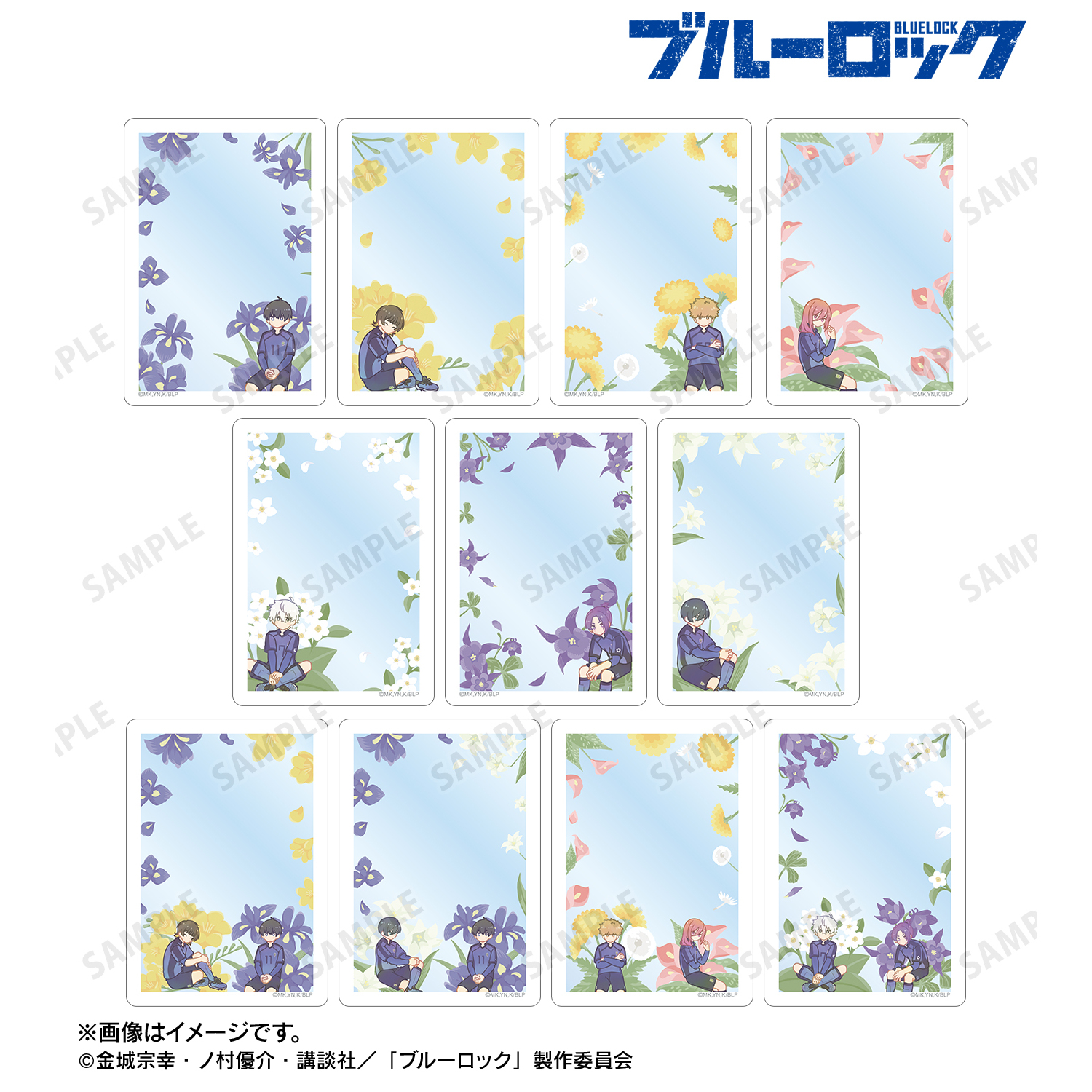 ブルーロック_トレーディング Botania B8硬質ケース(単位/コンプリートBOX)【BOX／11パック入り】