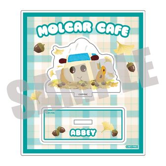 PUI PUI モルカー（プイプイモルカー） | 公式グッズ・公式ライセンス