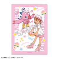 デジモンアドベンチャー_A4シングルクリアファイル 武之内空＆ピヨモン
