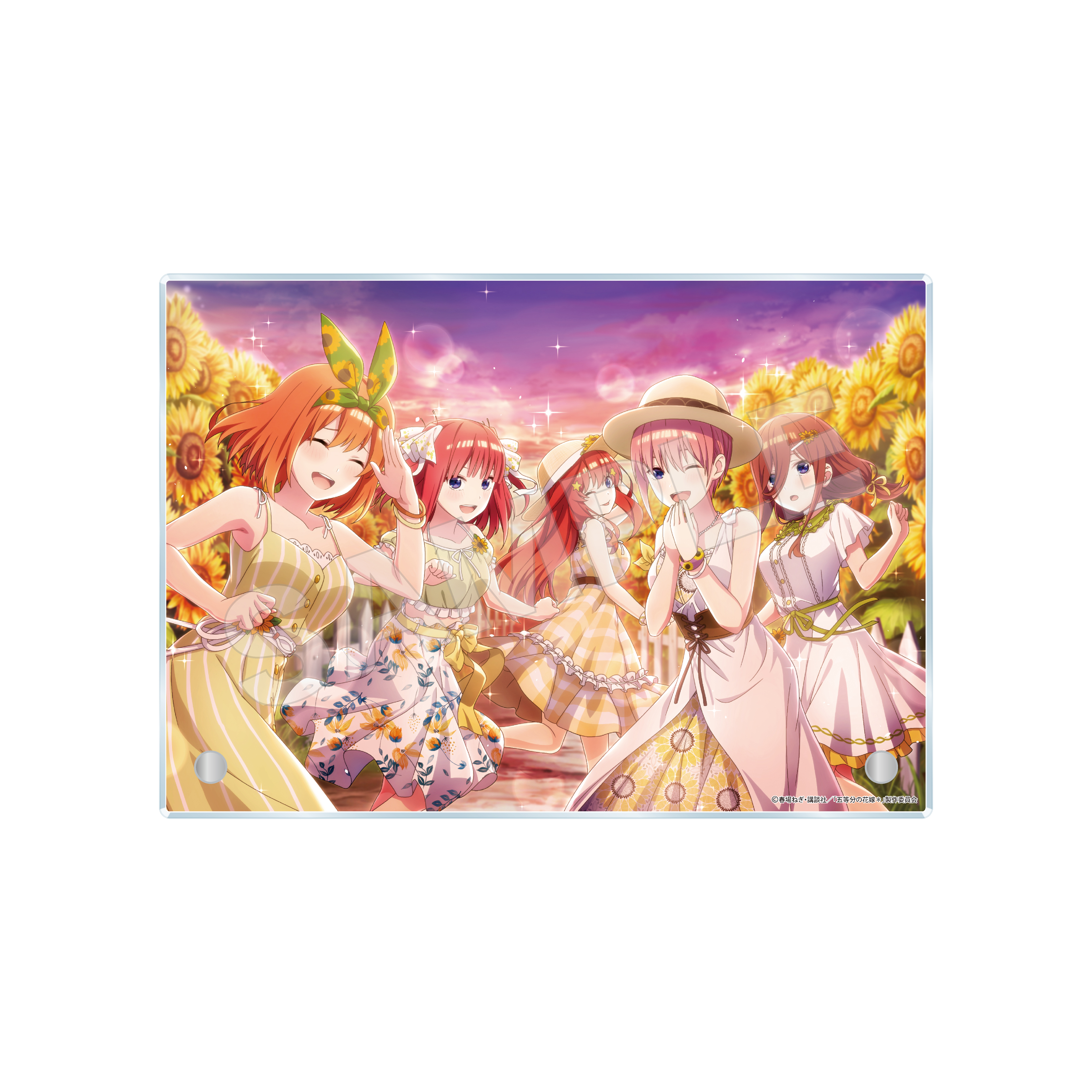 五等分の花嫁 五つ子ちゃんはパズルを五等分できない。_アクリルボード -技- /02 ひまわり
