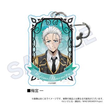 WIND BREAKER_B2タペストリー デザイン01(桜遥) | 公式グッズ・公式