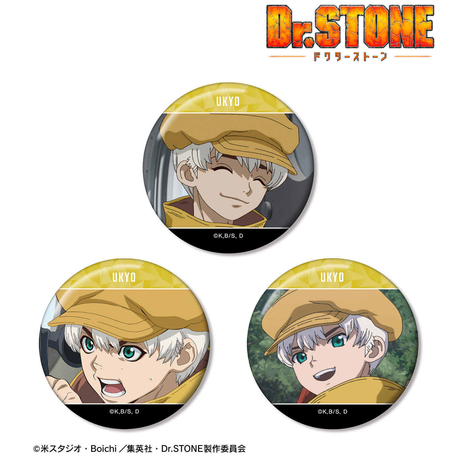 Dr.STONE_西園寺羽京 場面写缶バッジ3個セット
