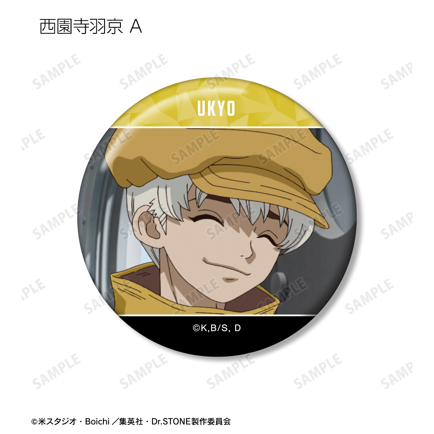 Dr.STONE_西園寺羽京 場面写缶バッジ3個セット | 公式グッズ・公式