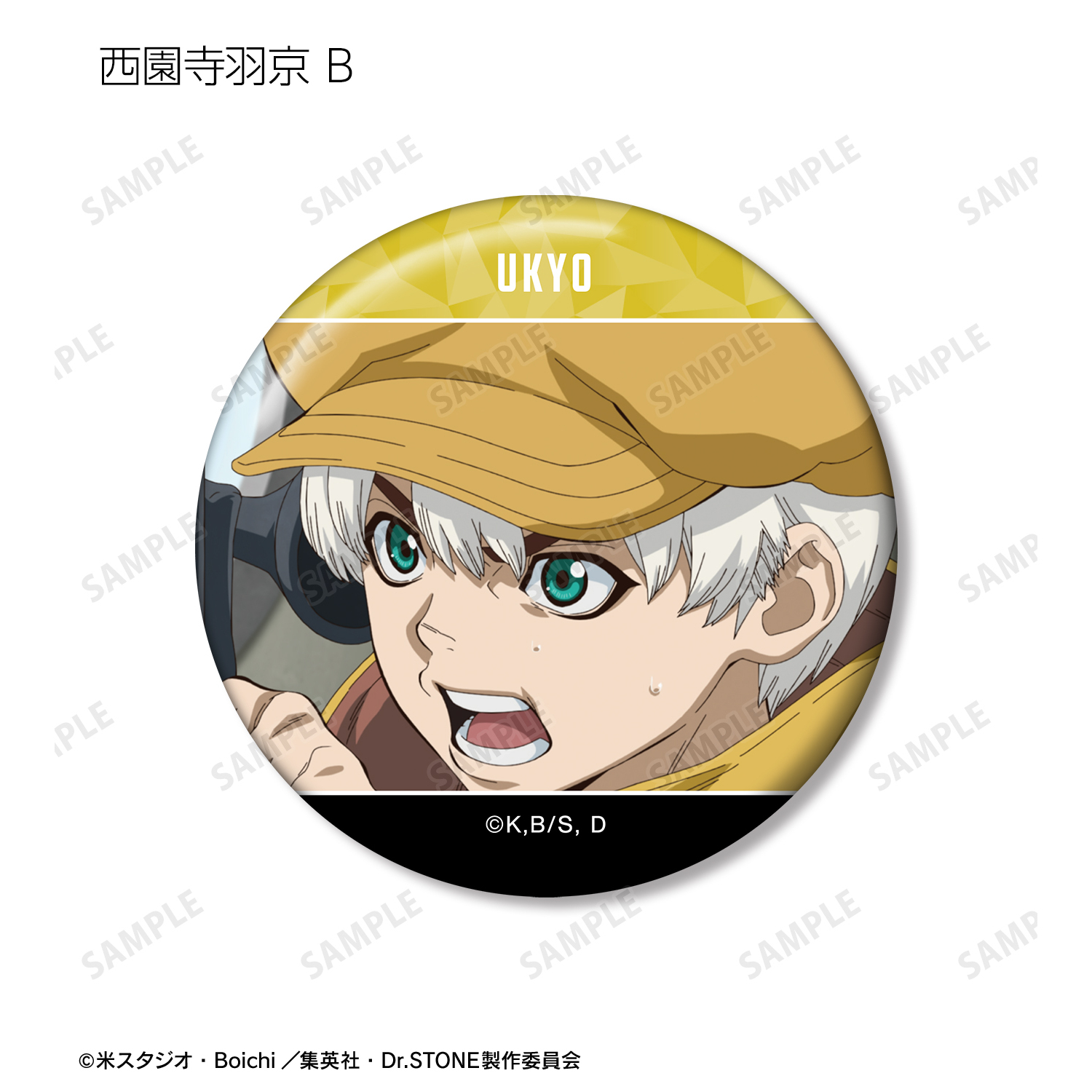 Dr.STONE_西園寺羽京 場面写缶バッジ3個セット | 公式グッズ・公式