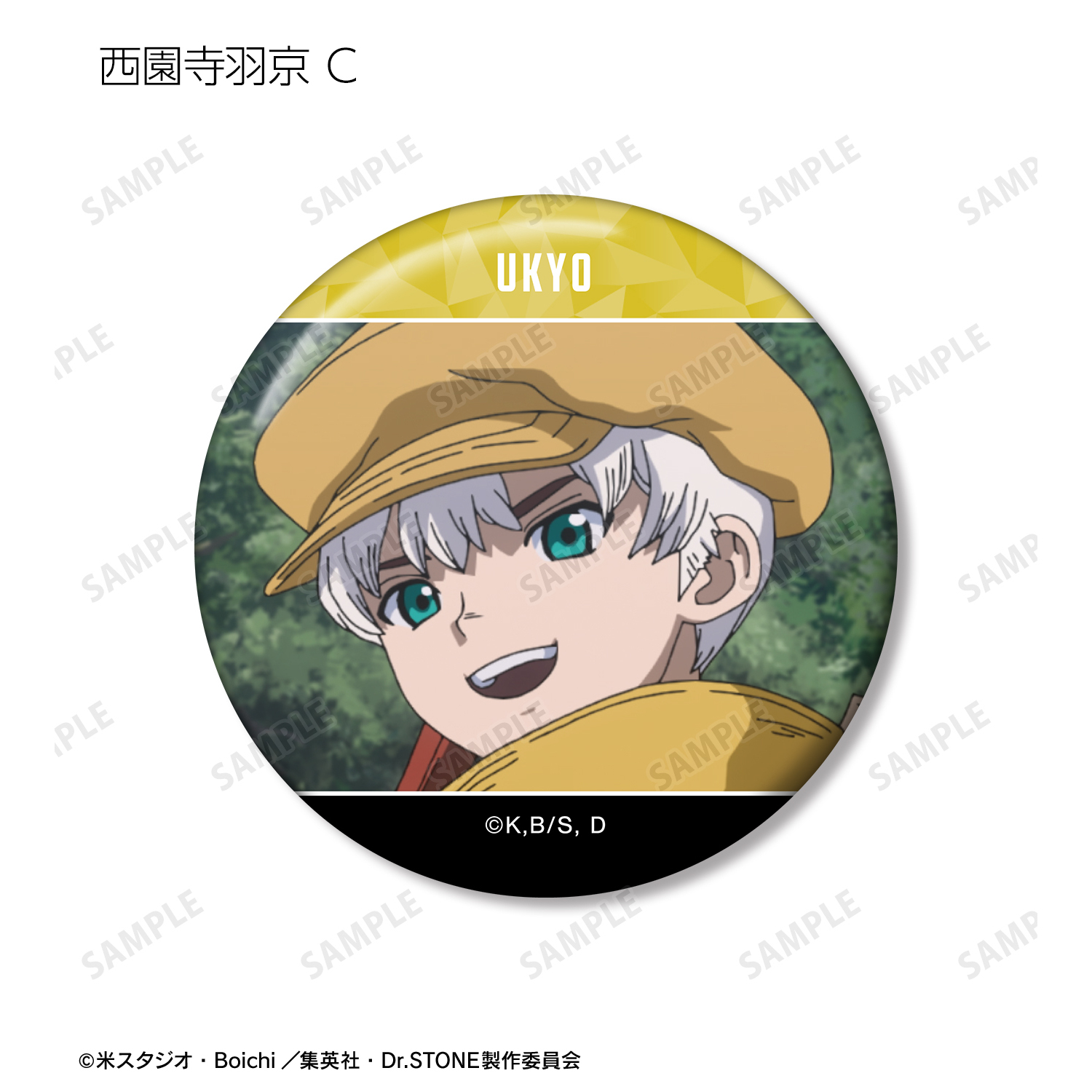 Dr.STONE_西園寺羽京 場面写缶バッジ3個セット | 公式グッズ・公式