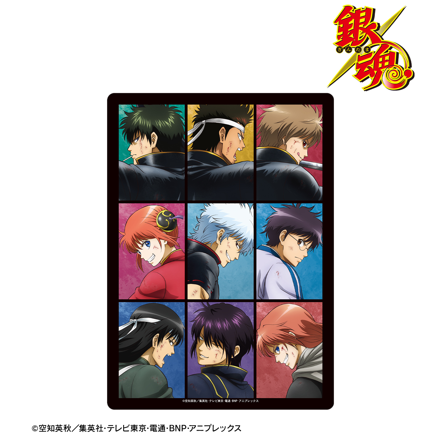 銀魂_描き下ろし 集合 戦う背中ver. 第2弾 A5硬質ケース