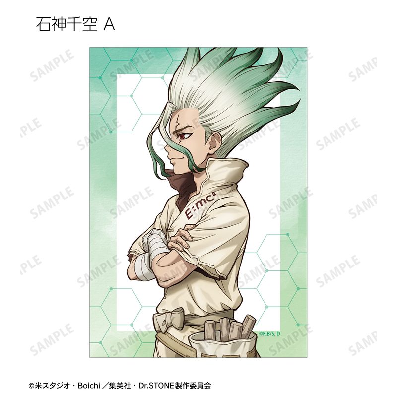 Dr.STONE_描き下ろし 歩みver. トレーディングブロマイド(単位
