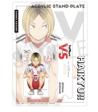 ハイキュースナップカード 再販】ハイキュー!!_スナップカード 1BOX 【コンプリートBOX】 | 公式