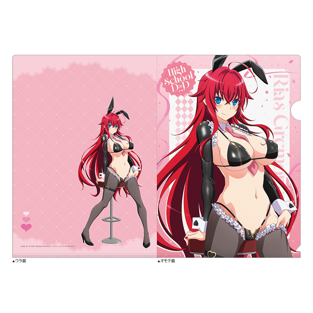 ハイスクールD×D HERO_描き下ろしクリアファイル(リアス・グレモリー/逆バニー(黒))