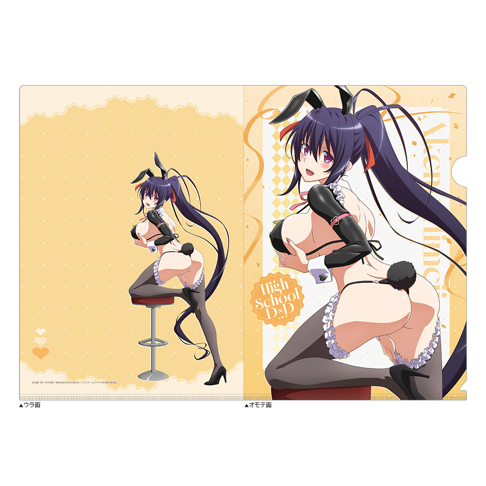 ハイスクールD×D HERO_描き下ろしクリアファイル(姫島朱乃/逆バニー(黒))