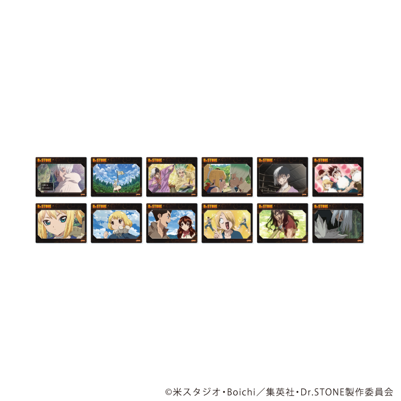 Dr.STONE_アクリルカード15/コンプリートセット(全12種)(場面写イラスト)【コンプリートセット/12個入り】