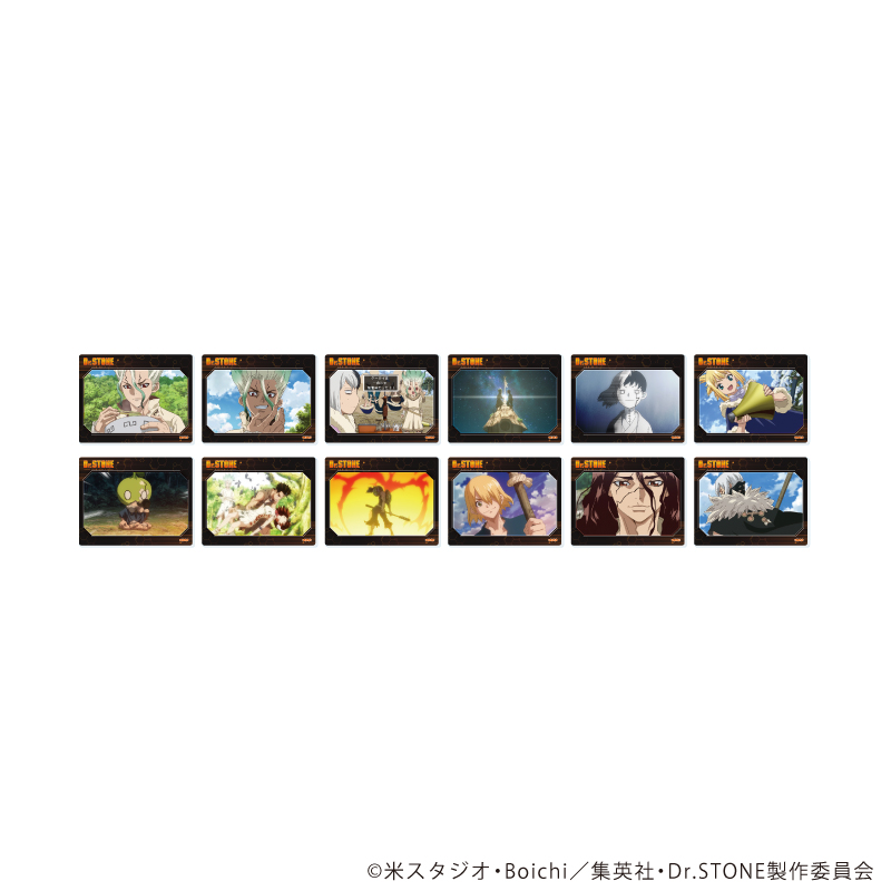 Dr.STONE_アクリルカード16/コンプリートセット(全12種)(場面写イラスト)【コンプリートセット/12個入り】