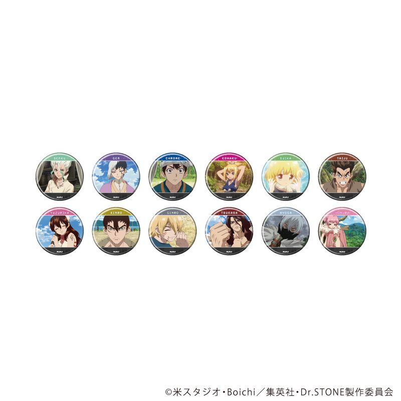 Dr.STONE_缶バッジ35/コンプリートセット(全12種)(場面写イラスト