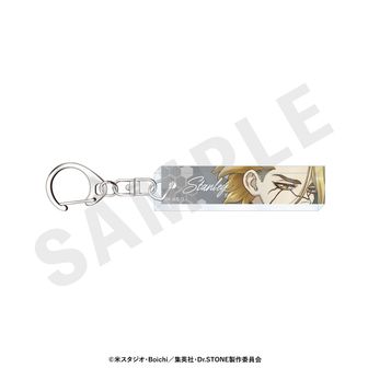 Dr.STONE_(65mm)_ホログラム缶バッジ06/ゴシックver. BOX(全5種)(描き