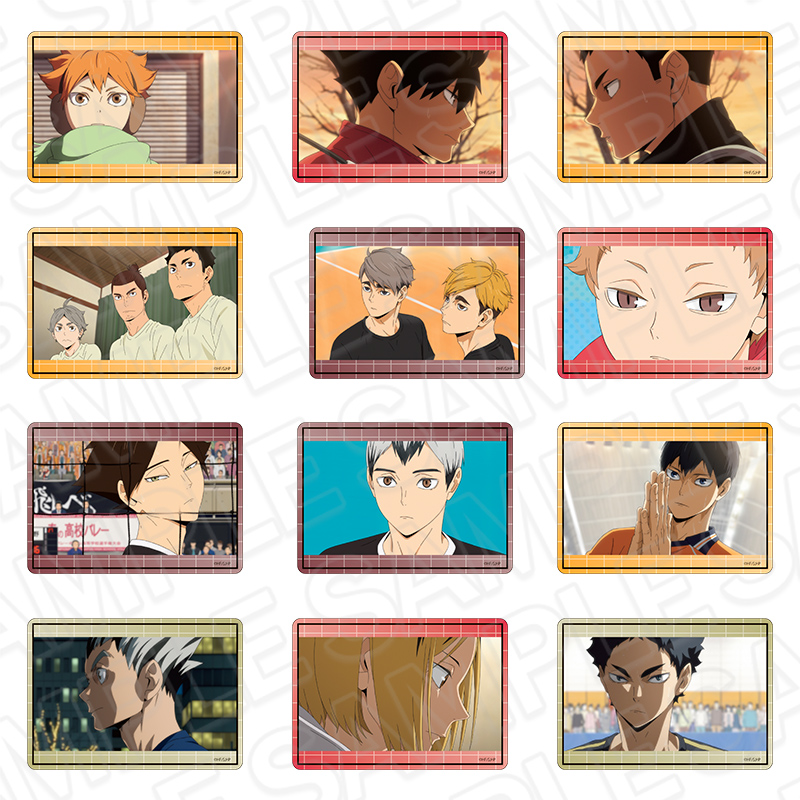 ハイキュー!!_硬質カードケース(ランダム)