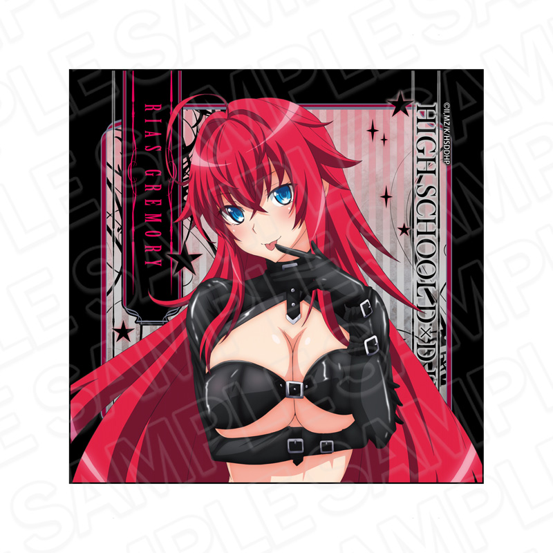 ハイスクールDxD HERO_マイクロファイバー リアス・グレモリー ボンテージ ver.