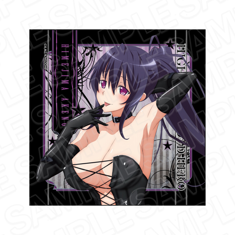 ハイスクールDxD HERO_マイクロファイバー 姫島朱乃 ボンテージ ver.