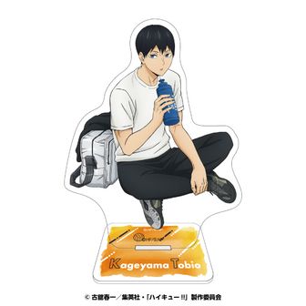 ハイキュー!! 日向翔陽 プール掃除 缶バッジ 80点 【公式通販】