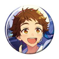 天満光 イベコレ 缶バッジ 73個 あんさんぶるスターズ!!_コレクション缶バッジ[2026 Mar.]-Idol Side