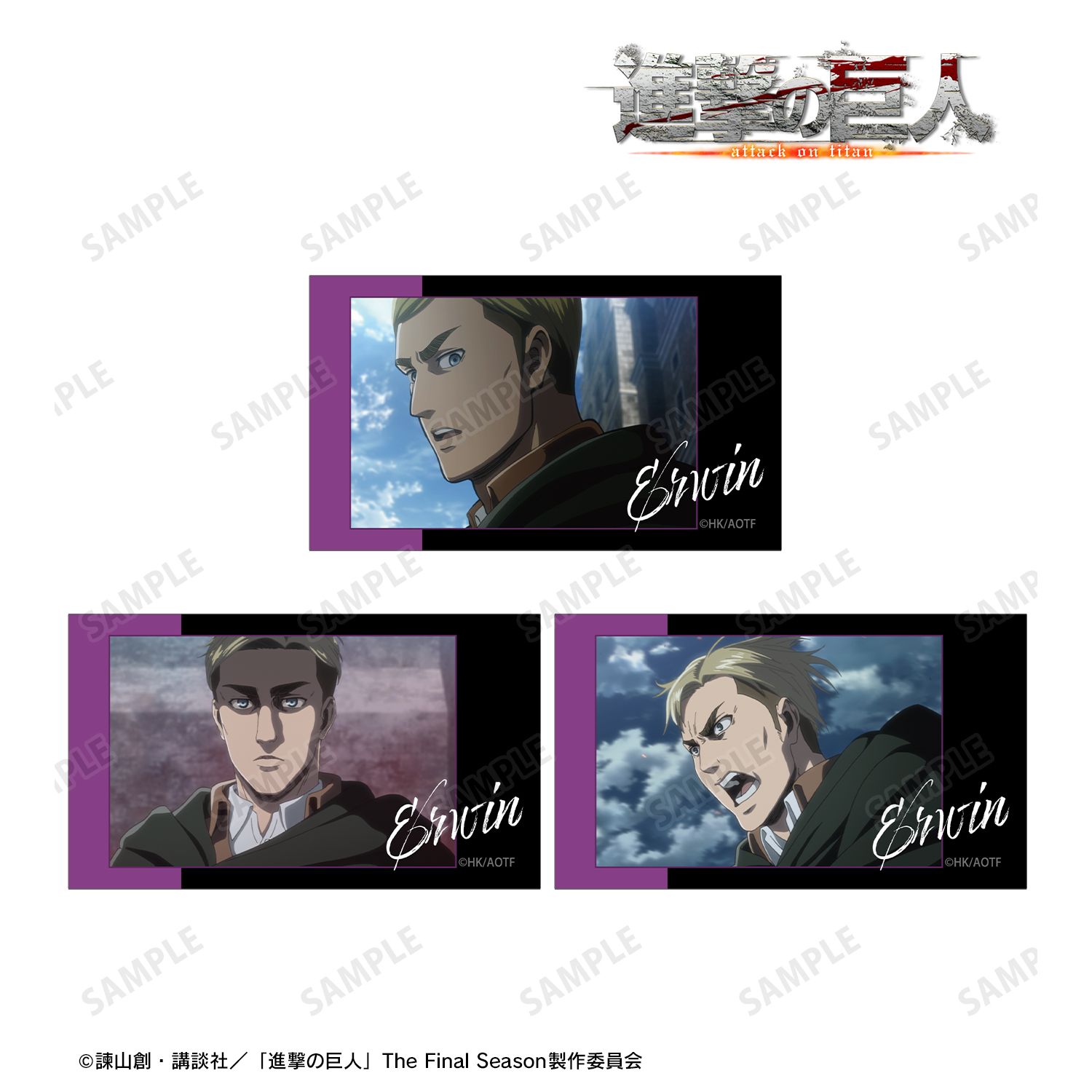 進撃の巨人_エルヴィン 場面写Ani-Frame3枚セット