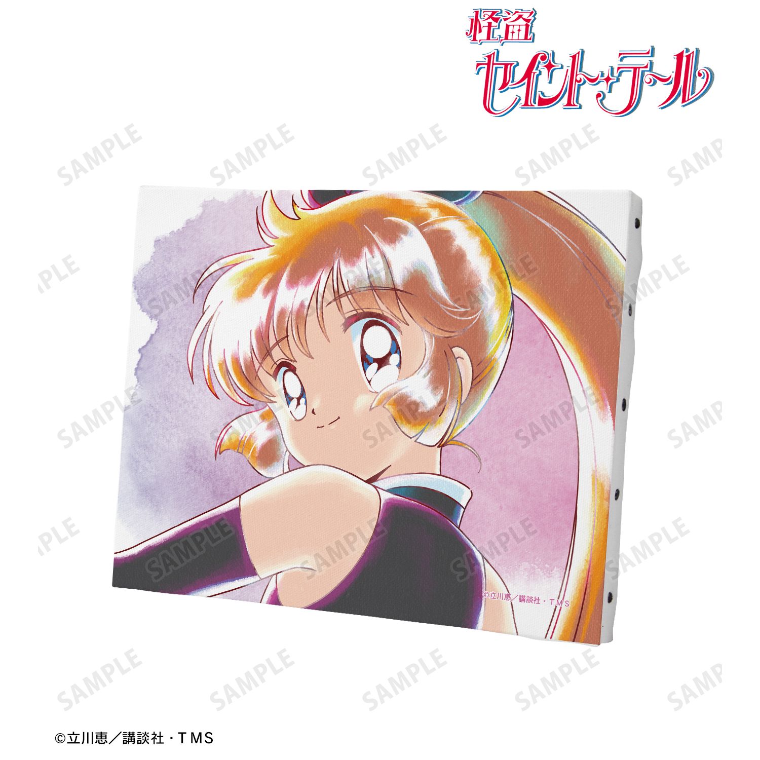 怪盗セイント・テール_怪盗セイント・テール Ani-Art aqua label F0号キャンバスボード